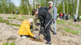 Przy Wilczym Szańcu posadzono 5000 dębów - zdjęcie 28