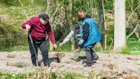 Przy Wilczym Szańcu posadzono 5000 dębów - zdjęcie 73