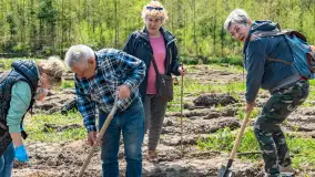 Przy Wilczym Szańcu posadzono 5000 dębów - zdjęcie 18