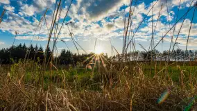 Wiosenny zachód słońca nad Darginem - zdjęcie 21