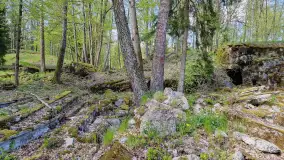 Majowy spacer po Wilczym Szańcu w Gierłoży - zdjęcie 8