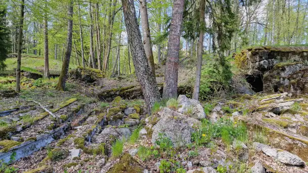 Majowy spacer po Wilczym Szańcu w Gierłoży - zdjęcie 8
