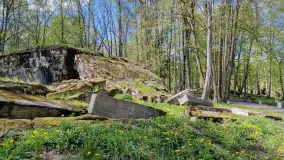 Majowy spacer po Wilczym Szańcu w Gierłoży - zdjęcie 25