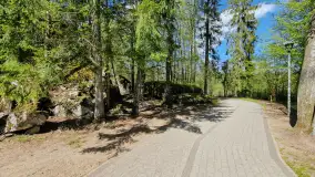 Majowy spacer po Wilczym Szańcu w Gierłoży - zdjęcie 5