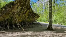 Majowy spacer po Wilczym Szańcu w Gierłoży - zdjęcie 20