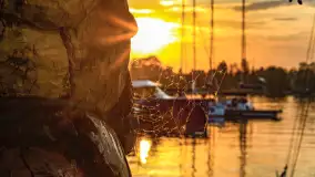 Zachód Słońca w Tle Dla Mew, jezioro Boczne, maj 2023 r. - zdjęcie 23