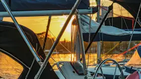 Zachód Słońca w Tle Dla Mew, jezioro Boczne, maj 2023 r. - zdjęcie 2