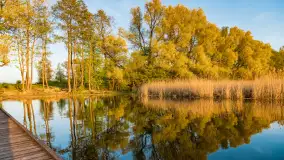 Zachód słońca nad jeziorem Tajty, okolice Wronki - zdjęcie 21