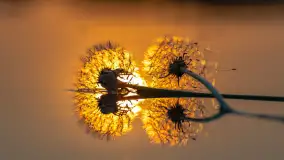 Majowy zachód słońca nad jeziorem Siercze, 2023 - zdjęcie 4