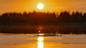 Majowy zachód słońca nad jeziorem Siercze, 2023 - zdjęcie 34