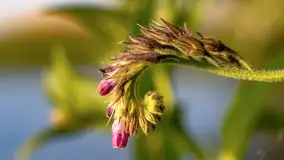 Zachód słońca nad jeziorem Niegocin, maj 2023 r. - zdjęcie 6