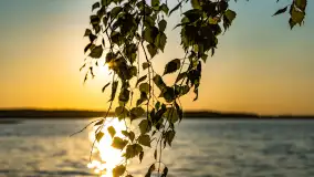 Zachód słońca nad jeziorem Niegocin, maj 2023 r. - zdjęcie 34