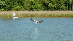 Fotorelacja z 45-lecia Mazurskiej Służby Ratowniczej  - zdjęcie 17
