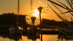 Zachód słońca nad jeziorem Kisajno widziany z dawnego Almaturu - zdjęcie 25