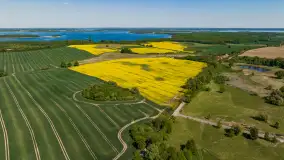 Wspomnienia rzepakowych pól na Mazurach 2023 - zdjęcie 35