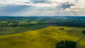 Wspomnienia rzepakowych pól na Mazurach 2023 - zdjęcie 79