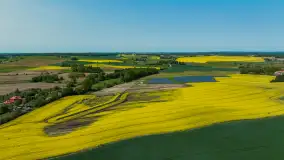 Wspomnienia rzepakowych pól na Mazurach 2023 - zdjęcie 70