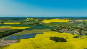 Wspomnienia rzepakowych pól na Mazurach 2023 - zdjęcie 78