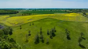 Wspomnienia rzepakowych pól na Mazurach 2023 - zdjęcie 75