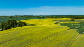 Wspomnienia rzepakowych pól na Mazurach 2023 - zdjęcie 82