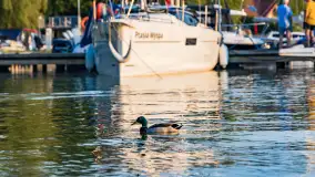 Zachód słońca nad jeziorem Świecajty, widok z Ognistego Ptaka, czerwiec 2023 r. - zdjęcie 14