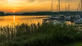 Wschód słońca nad jeziorem Kisajno, Łabędzi Ostrów, czerwiec 2023 r. - zdjęcie 4