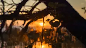 Zachód słońca nad jeziorem Mój, maj 2023 r. - zdjęcie 12