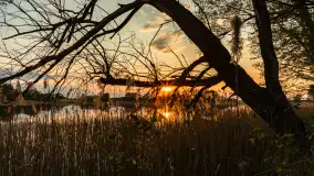 Zachód słońca nad jeziorem Mój, maj 2023 r. - zdjęcie 14