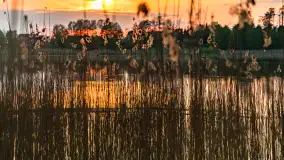 Zachód słońca nad jeziorem Mój, maj 2023 r. - zdjęcie 23