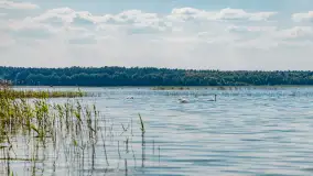 Jezioro Seksty i okolice kanału Jeglińskiego, czerwiec 2023 r. - zdjęcie 15