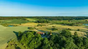 Mazurskie pola i łąki z lotu ptaka, czerwiec 2023 r. - zdjęcie 20