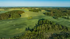 Mazurskie pola i łąki z lotu ptaka, czerwiec 2023 r. - zdjęcie 9