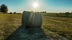 Mazurskie pola i łąki z lotu ptaka, czerwiec 2023 r. - zdjęcie 19