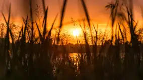 Zachód słońca nad jeziorem Dejgunek, lipiec 2023 r. - zdjęcie 2