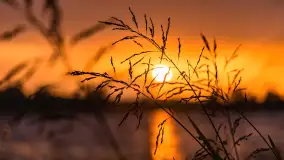 Zachód słońca nad jeziorem Dejgunek, lipiec 2023 r. - zdjęcie 17