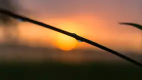 Zachód słońca nad jeziorem Dejgunek, lipiec 2023 r. - zdjęcie 21