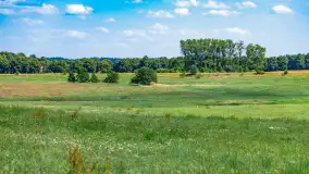 Bociany na wopławskiej łące, lipiec 2023 r. - zdjęcie 17