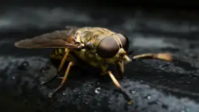 Najmniejsi mieszkańcu Mazur w naszym obiektywie, lipiec 2023 r. - zdjęcie 28