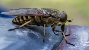 Najmniejsi mieszkańcu Mazur w naszym obiektywie, lipiec 2023 r. - zdjęcie 19