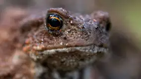 Najmniejsi mieszkańcu Mazur w naszym obiektywie, lipiec 2023 r. - zdjęcie 26