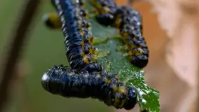 Najmniejsi mieszkańcu Mazur w naszym obiektywie, lipiec 2023 r. - zdjęcie 40