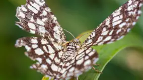 Najmniejsi mieszkańcu Mazur w naszym obiektywie, lipiec 2023 r. - zdjęcie 17