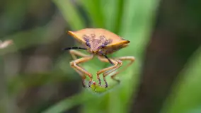 Najmniejsi mieszkańcu Mazur w naszym obiektywie, lipiec 2023 r. - zdjęcie 50