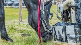 Fotorelacja z Sulimiady, czerwiec 2023 r. - zdjęcie 18