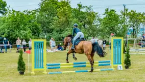 Fotorelacja z Sulimiady, czerwiec 2023 r. - zdjęcie 21