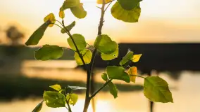 Zachód słońca nad jeziorem Dejgunek, maj 2023 r. - zdjęcie 14