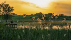 Zachód słońca nad jeziorem Dejgunek, maj 2023 r. - zdjęcie 1