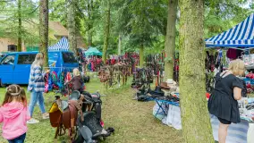 Fotorelacja z czempionatu w Stadzie Ogierów w Kętrzynie, lipiec 2023 - zdjęcie 6