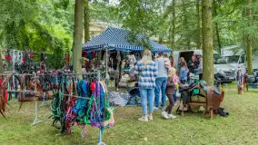 Fotorelacja z czempionatu w Stadzie Ogierów w Kętrzynie, lipiec 2023 - zdjęcie 41