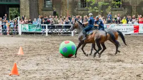 Fotorelacja z czempionatu w Stadzie Ogierów w Kętrzynie, lipiec 2023 - zdjęcie 5